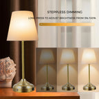 Coolilumi Vintage Brass Table Lamp – USB Rechargeable Lights