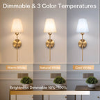 Dimmable Bronze Wall Lamps with 3 Color Temperatures - Warm White/Natural White/Cool White, 10%-100% Brightness Adjustment for Living Room & Bedroom
